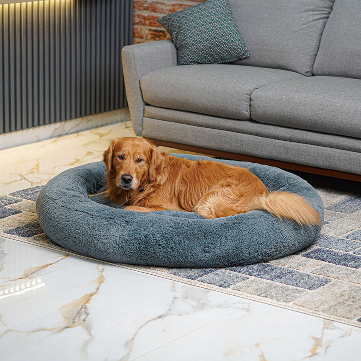 Cama AntiEstrés Furbedz™  Memory Foam