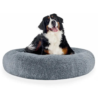 Cama AntiEstrés Furbedz™  Memory Foam