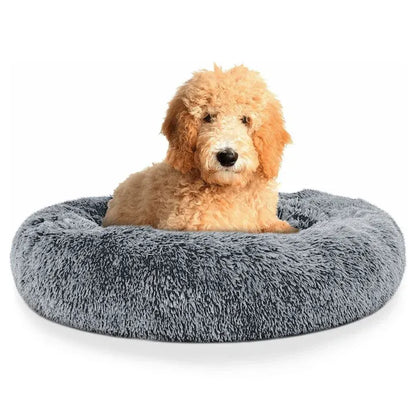 Cama AntiEstrés Furbedz™  Memory Foam