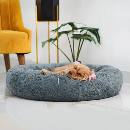 Cama AntiEstrés Furbedz™  Memory Foam