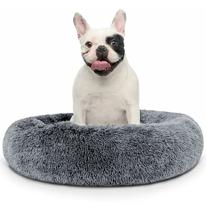 Cama AntiEstrés Furbedz™  Memory Foam